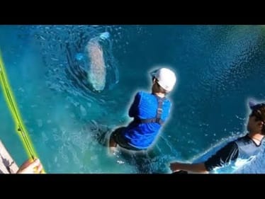 30 LB MONSTER in a TINY CITY POND?!! (INSANE)