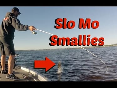 Slo Mo Smallmouth Bass