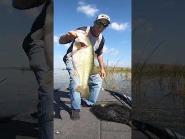 Flipping Big Bass on the Harris Chain #short #bassfishing #bigbass