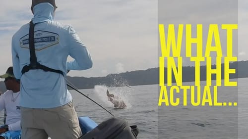 INSANE Cubera Snapper Blowup with Ben Milliken