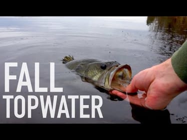 Late Fall Topwater & Jig Bass Fishing