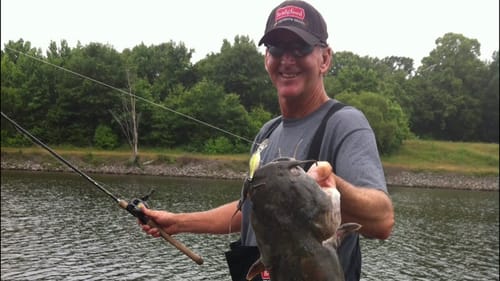 Catching Catfish While Bass Fishing Tells You THIS…