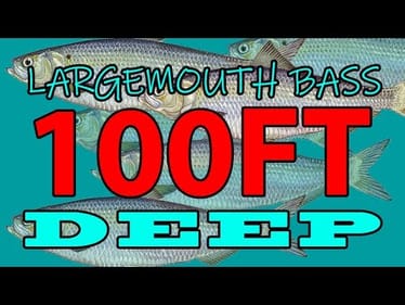 Catch Largemouth in 100ft of Water! Suspended Bass Fish