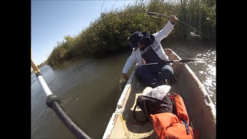 Fall Bass Fishing 2013