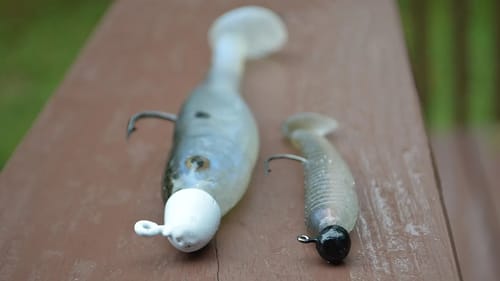 Are Big Baits Required To Catch Big Fish? | Bass Fishing