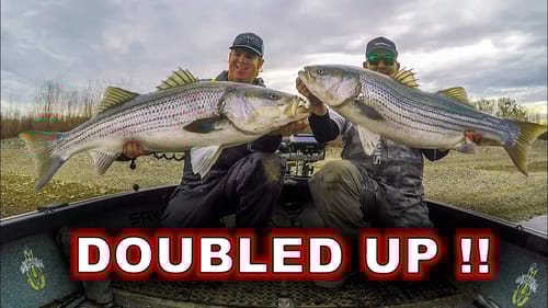 DOUBLE HOOKUP on BIG SWIMBAITS!!!