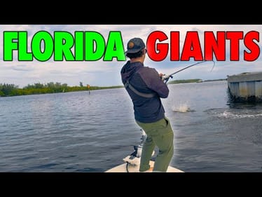 48 Hours Chasing Florida’s Saltwater Giants