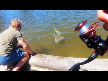 We FOUND MONSTER FISH in CITY POND!!!