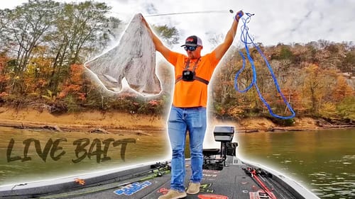 Catching BIGGUNS With LIVE BAIT!! (INSANE)