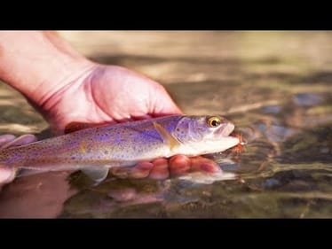 HANDMADE Lure Challenge (Will it Catch Fish?)