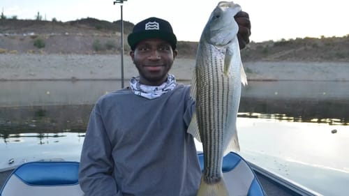 I Caught My Personal Best! Insane Topwater Striper Fishing!