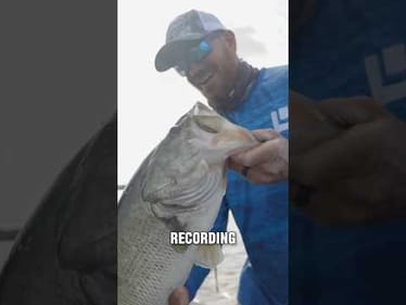 We Found a Giant Bass 😳 #shorts