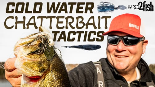 ChatterBait Tactics for Cold Water Bass