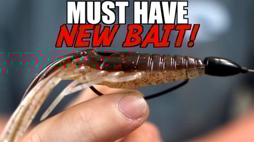 Why You NEED To Try This NEW Bass Fishing Lure!