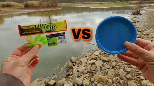 Creek Fishing: Worms vs Lures