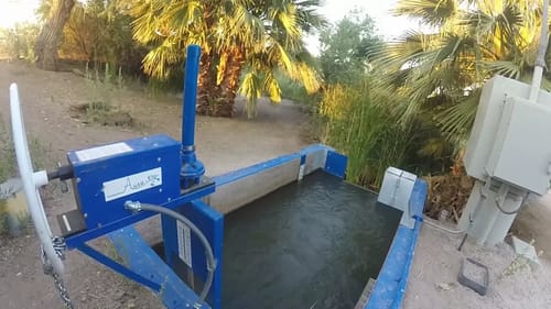 Frog Fishing SMALL Natural Urban Ponds For Bass!