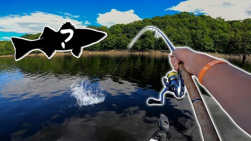 ULTRA LIGHT River Fishing For BIGS! (They Were HUNGRY)