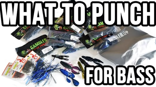 What to PUNCH Bass Fishing ~ Fishing Tips: FLIPPING