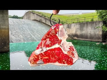 T-Bone STEAK = MONSTER Fish!!! (Near STATE RECORD!)