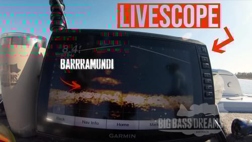 Barramundi Fishing Using Electronics and Small Swimbaits   Big Barra Dreams Part 8