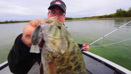 Power Cranking for Shallow Bass