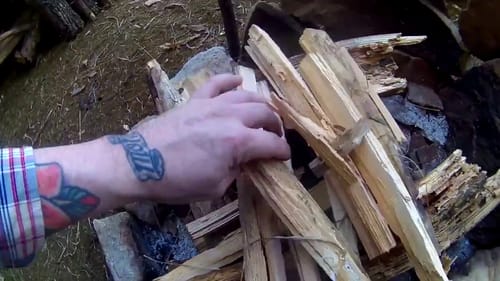 A trip to Bush Craft Camp with the kiddos