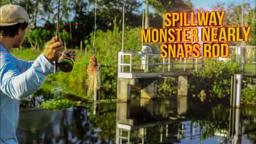 Fly Fishing a Spillway
