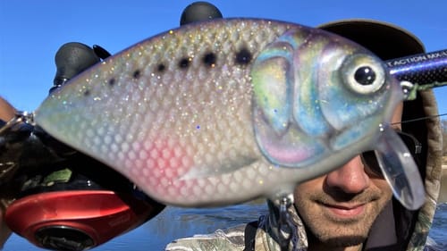 Making an Extra Colorful BaitFish CrankBait