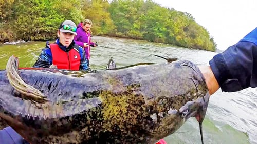 Catching HUGE Flathead Catfish On BLUFF LEDGES!! (Unexpected)