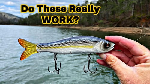 Amateur Tries GLIDE BAIT Fishing...