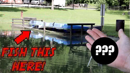 Catch MORE Bass Pond Fishing with THESE Tips!
