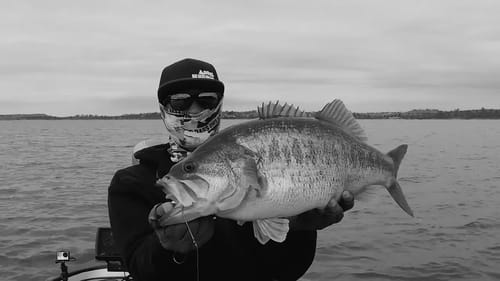 California Swimbait Fishing Montage - Bass Fishing Music Video