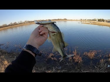Testing out a new Jerkbait! (Provoke 106x)