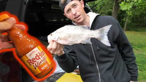 White Bass Catch n Cook | HOT WINGS Recipe!