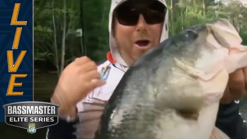 MURRAY: Cox catching them his way on Day 3