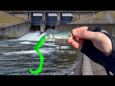 A SURPRISE Catch from the DEPTHS of this SPILLWAY!!!