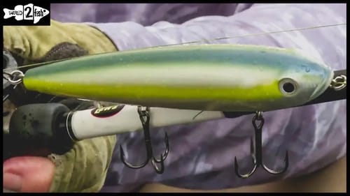 Why Bigger Baits Trigger the Biggest Bass