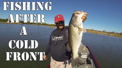 Bass Fishing After A Cold Front