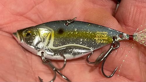 Why Local Experts Are Hiding The BLADE BAIT From You…