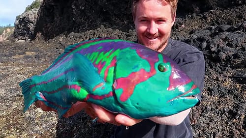 First Ever Chameleon Fish