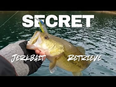 The Jerkbait Retrieve Nobody Will Tell You About! But I Will!
