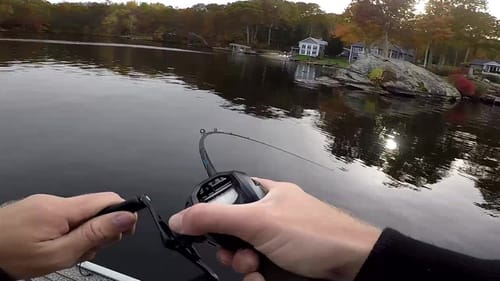 The Fall Jerkbait Bite Is Real