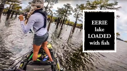 SWAMP fishing against 205 ANGLERS (CADDO day 2 tournament)