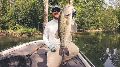 Swim Jigs and Senkos - Summer Fishing The MidWest