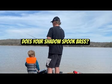 How Your Shadow Negatively Affects Bass