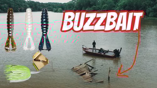 Cold Front Fall Buzzbait Fishing
