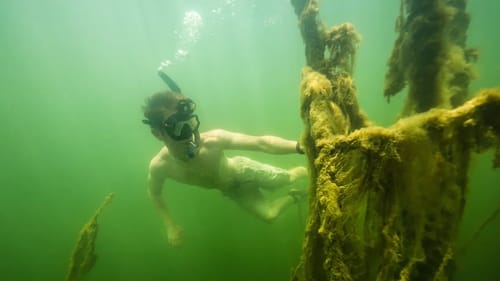 Free Diving While Fishing Clear Water Lake | GIANT BASS FOUND!
