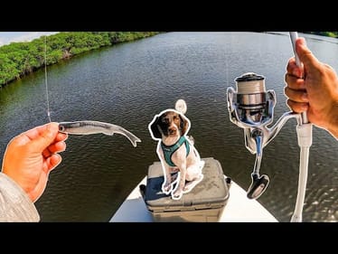 Multiple Saltwater Giants Caught On Puppy’s First Fishing Trip (Funny)