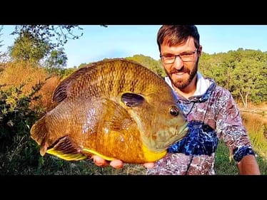 The BLUEGILL THAT EATS BASS FOR LUNCH!! (UNREAL)