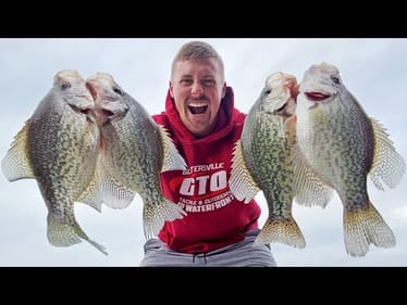 Loads of Crappie Fishing With JIGS In The WINTER!